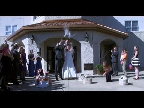 Itasca Wedding video Sample